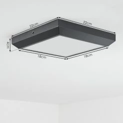 Hofstein Alkmaar Außendeckenleuchte LED Anthrazit, 1-flammig -Wandleuchten Verkaufsgeschäft alkmaar aussendeckenleuchte h3651124 3