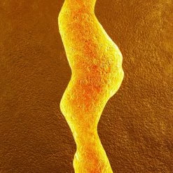 Holländer ERUPTION Wandleuchte LED Rot, Gold, 1-flammig -Wandleuchten Verkaufsgeschäft hollaender eruption wandleuchte 300 k 13230 3