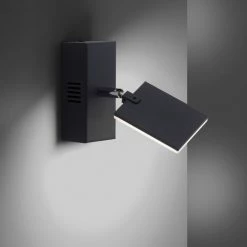 Paul Neuhaus Leuchten Paul Neuhaus PURE-MIRA Wandleuchte LED Schwarz, 2-flammig, Fernbedienung -Wandleuchten Verkaufsgeschäft paul neuhaus pure mira wandleuchte 9353 18 13